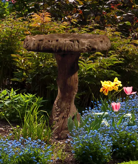 Wildwood Birdbath